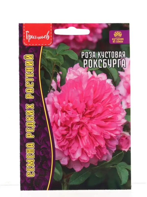 Семена цветов Роза Роксбурга кустовая 10 шт.  12.29 г.