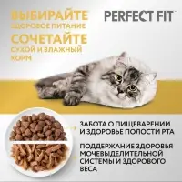 Сухой корм Perfect Fit для чувствительных кошек, индейка, 1.2 кг
