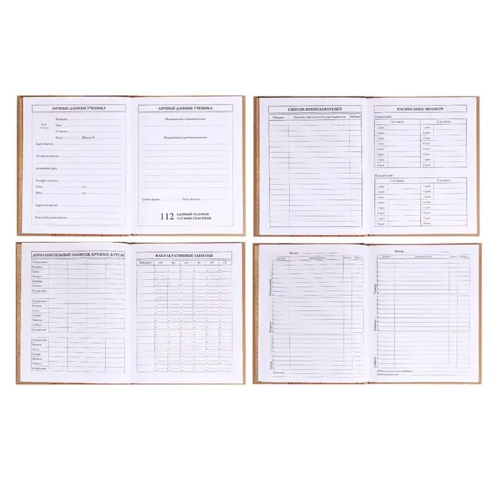 Дневник для 5-11 классов, 48 листов "Златовласка", твёрдая обложка, крафт, блок офсет