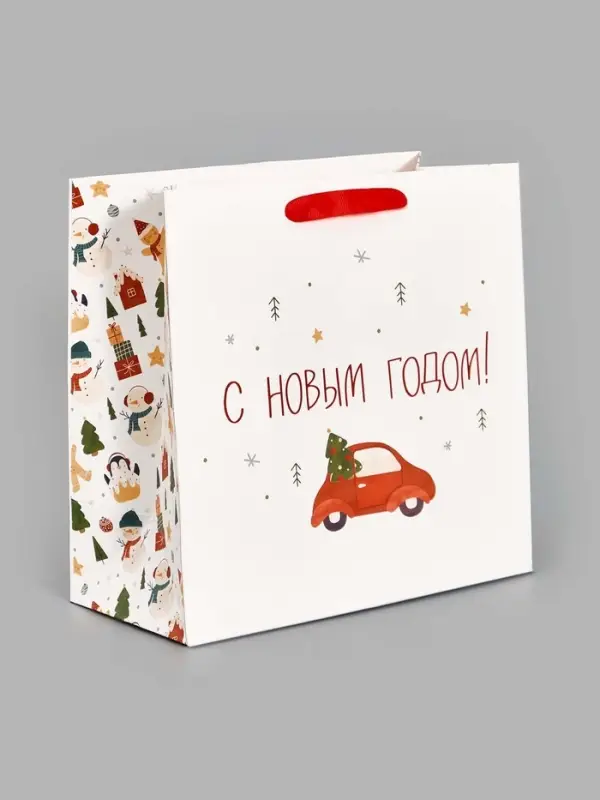 Пакет подарочный ламинированный новогодний &laquo;Волшебного года&raquo;, 22&times;22&times;11 см
