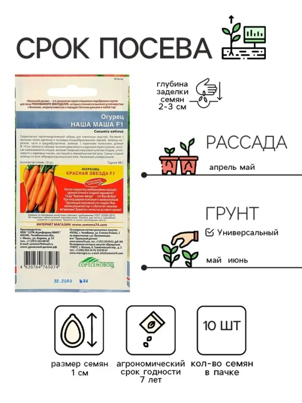Семена Огурец Семена Огурец "Наша Маша" F1 раннеспелый, партенокарпический, 10 шт
