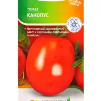 Семена Томат "Канопус" 0,08 г Семена Томат "Канопус" 0,08 г