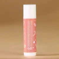 Бальзам для губ &laquo;Зимняя сладость&raquo;, 10 г, аромат ванильного пряника, URAL LAB