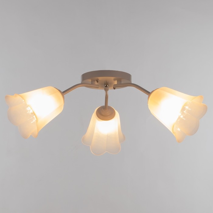 Люстра Люстра "Онлайн" (цветок) 3х15Вт Е27 МОДЕЛЬ: BR 00204 белый/прозрачный