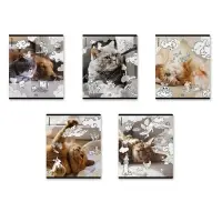 Тетрадь 48 листов в клетку ErichKrause Dream Cat, 60 г/м&sup2;, обложка мелованный картон, МИКС