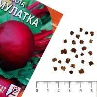Семена Свекла &laquo;Мулатка&raquo;, 2 г