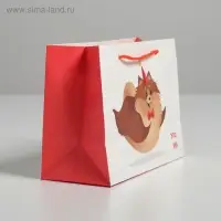 Пакет подарочный, упаковка, «Лучший подарочек», 14,5 х 19,5 х 8,5 см