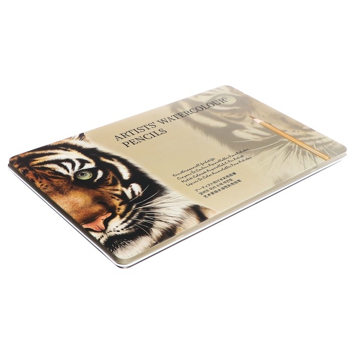 Карандаши акварельные, цельнографитные, 20 цветов+2 кисти+точилка, в металлической коробке WWP-20 Карандаши акварельные, цельнографитные, 20 цветов+2 кисти+точилка, в металлической коробке WWP-20