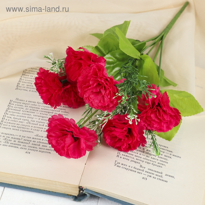 Букет  Букет "Гвоздики" 5х25 см, микс