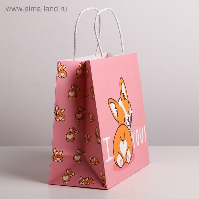 Пакет подарочный крафтовый, упаковка, I love you, 22 х 22 х 11 см Пакет подарочный крафтовый, упаковка, I love you, 22 х 22 х 11 см