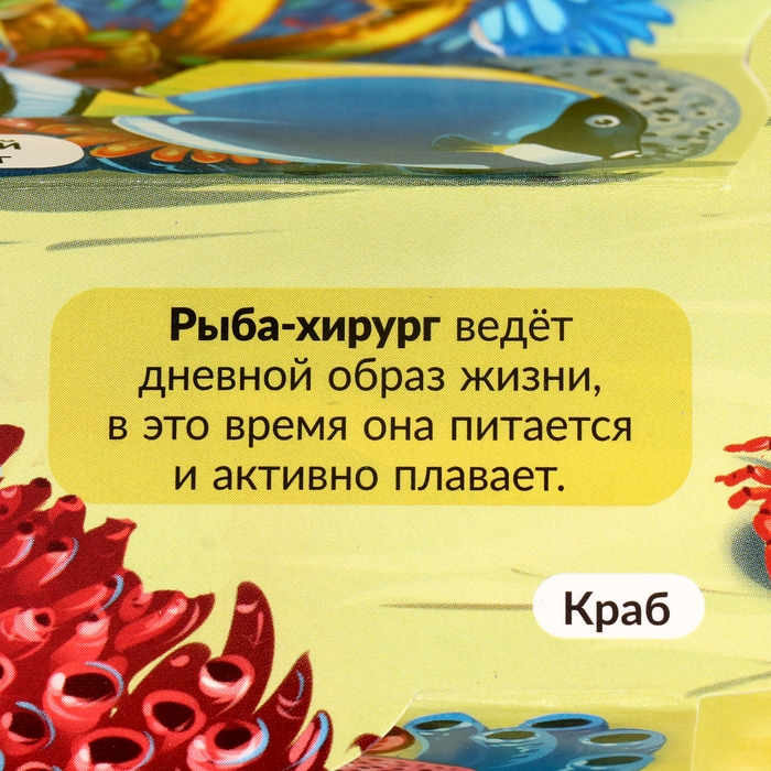 Энциклопедия-панорамка POP UP «Море» Энциклопедия-панорамка POP UP «Море»