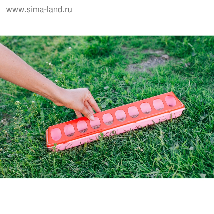 Кормушка-поилка для перепелов, 20 ячеек, лотковая, пластик, цвет МИКС Кормушка-поилка для перепелов, 20 ячеек, лотковая, пластик, цвет МИКС