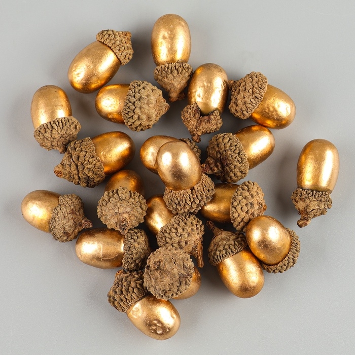 Декор «Золотые желуди», набор 20 шт., для творчества, 3 × 2см Декор «Золотые желуди», набор 20 шт., для творчества, 3 × 2см