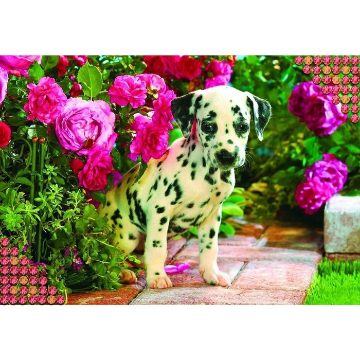Алмазная мозаика с полным заполнением на холсте «Далматинец», 22 х 32 см Алмазная мозаика с полным заполнением на холсте «Далматинец», 22 х 32 см
