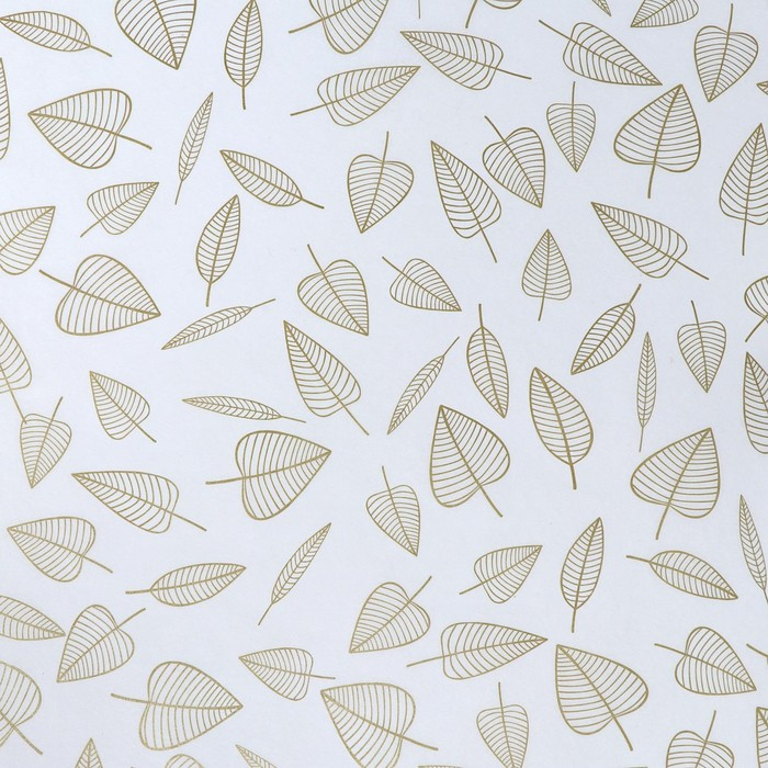 Бумага силиконизированная «Осень», для выпечки, 0,38 х 5 м Бумага силиконизированная «Осень», для выпечки, 0,38 х 5 м