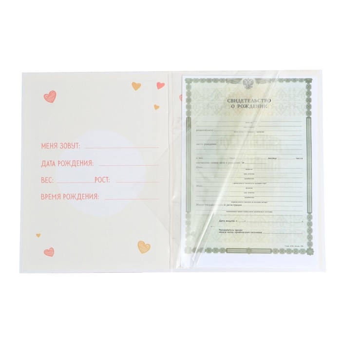 Папка для свидетельства о рождении «Медвежонок», 23,5 х 31,5 см. Папка для свидетельства о рождении «Медвежонок», 23,5 х 31,5 см.