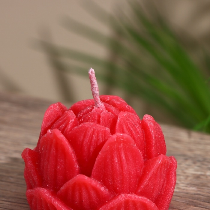 Свеча  Свеча "Лотос" 5х5х6 см, соевый воск