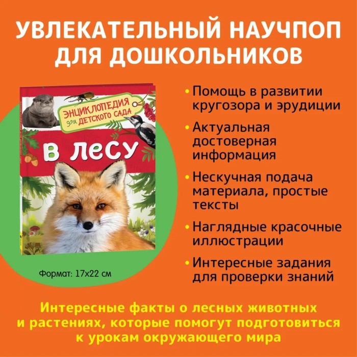 Энциклопедия для детского сада «В лесу» Энциклопедия для детского сада «В лесу»