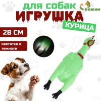 Игрушка пищащая "Курица светящаяся" для собак, 28 см, зелёная