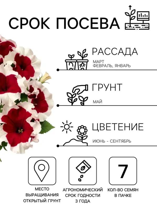 Семена Цветов Петуния &laquo;Малиновый каприз&raquo;, F1, 7 шт., &laquo;Агрофирма АЭЛИТА&raquo;