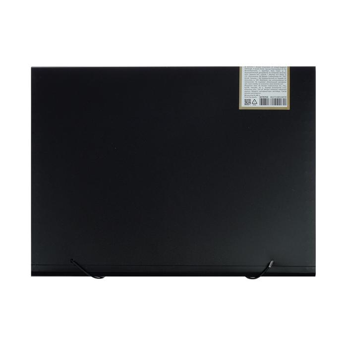 Папка-кратотека 12 отделений, А4, на резинке, deVENTE My gold, 700 мкм Папка-кратотека 12 отделений, А4, на резинке, deVENTE My gold, 700 мкм