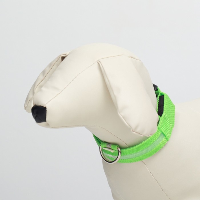 Ошейник с подсветкой, зарядка от USB, размер M, ОШ 37-46 см, 3 режима, зелёный Ошейник с подсветкой, зарядка от USB, размер M, ОШ 37-46 см, 3 режима, зелёный