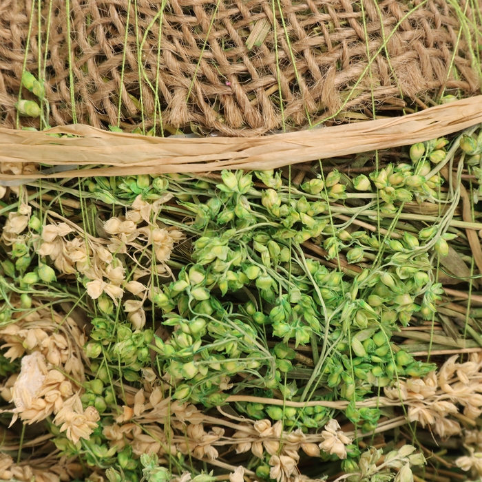 Кашпо, 19 х 16 х 11 см, трава Кашпо, 19 х 16 х 11 см, трава