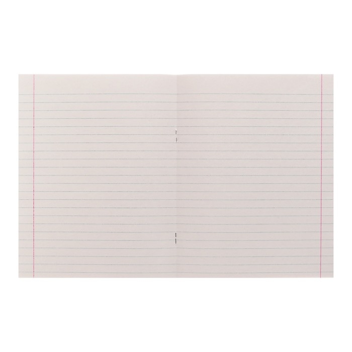 Тетрадь 96 листов в линейку Calligrata Тетрадь 96 листов в линейку Calligrata "Морской пейзаж", обложка мелованный картон, блок №2, белизна 75% (серые листы), МИКС