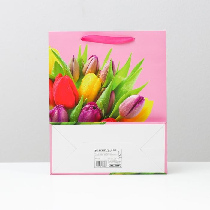 Пакет ламинированный, 26 x 32 x 12 см Пакет ламинированный, 26 x 32 x 12 см