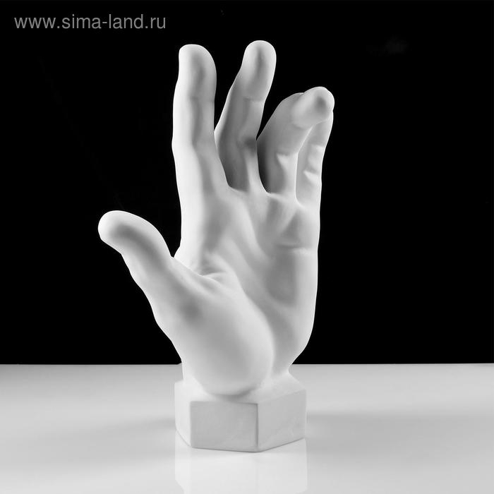 Гипсовая фигура кисть вертикальная, 14 х 31,5 х 42 см Гипсовая фигура кисть вертикальная, 14 х 31,5 х 42 см