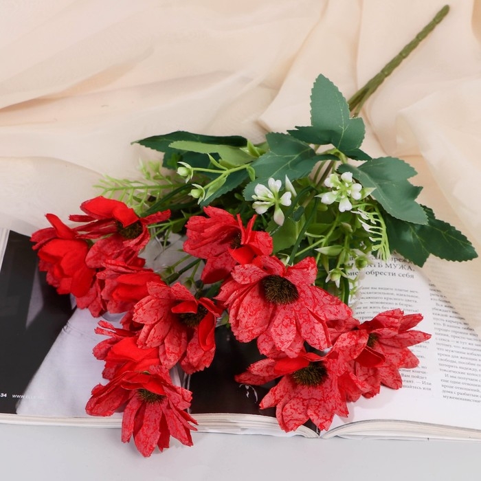 Букет Букет "Ромашка декоративная колор" 5х25 см, микс