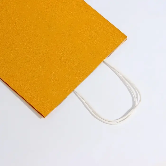 Пакет крафт с глиттером золотой, 21 х 11 х 27 см 1 шт Пакет крафт с глиттером золотой, 21 х 11 х 27 см 1 шт