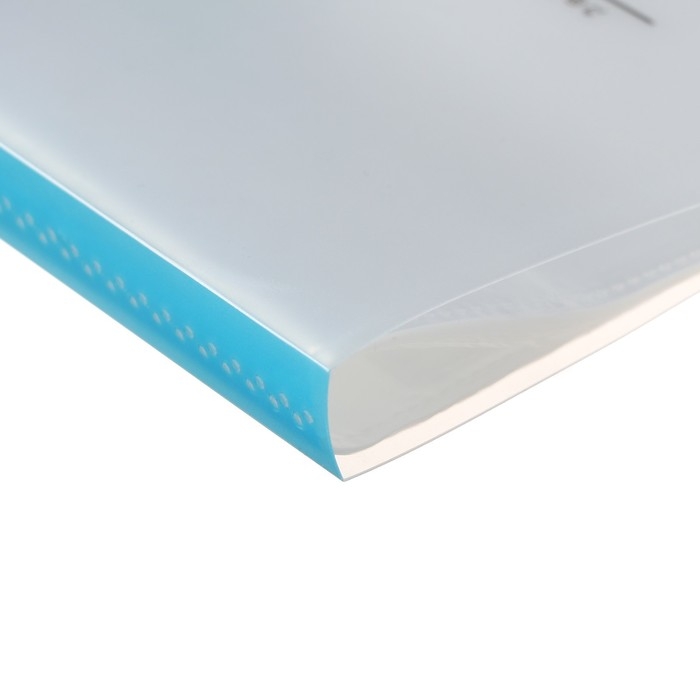 Папка формат А4, с 40 прозрачными файлами Папка формат А4, с 40 прозрачными файлами "Река", МИКС