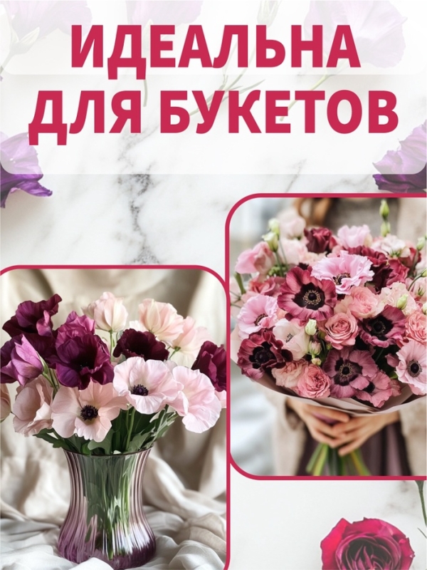 Набор семян Огурцы раннеспелые самоопыляемые