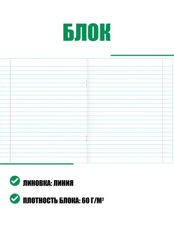 Набор тетрадей &laquo;Зелёная обложка&raquo; 20 штук, 12 листов в линейку, плотность 65 г/м&sup2;