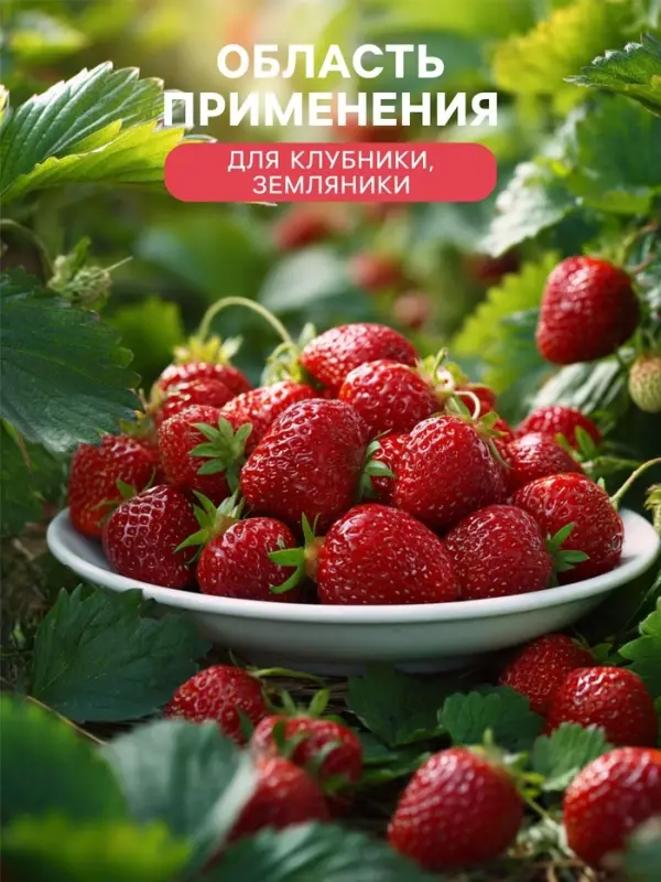 Удобрение органоминеральное &laquo;Буйские удобрения&raquo;, для клубники, земляники, 1 кг