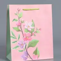 Пакет подарочный ламинированный &laquo;Нежный комплимент&raquo;, розовый, 18&times;22.3&times;10 см