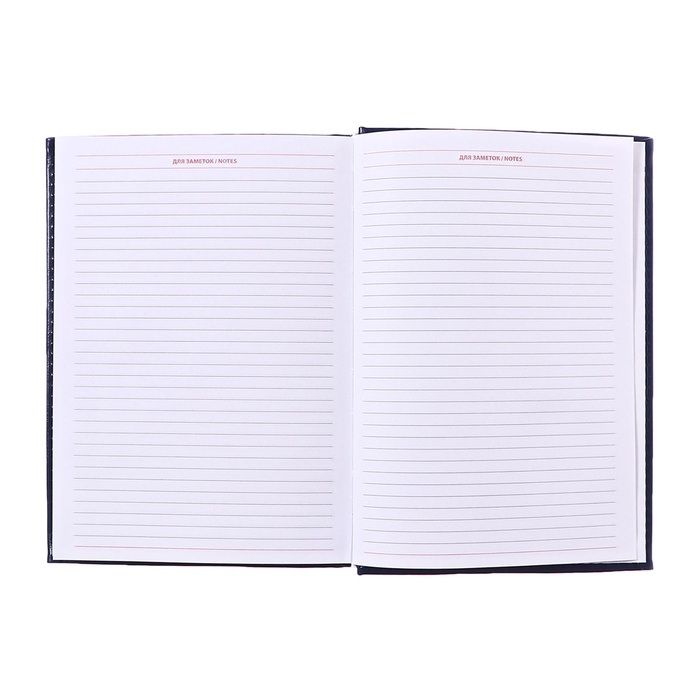 Ежедневник недатированный А5, 160 листов  Ежедневник недатированный А5, 160 листов "Небраска", обложка искусственная кожа, перфорация углов, синий