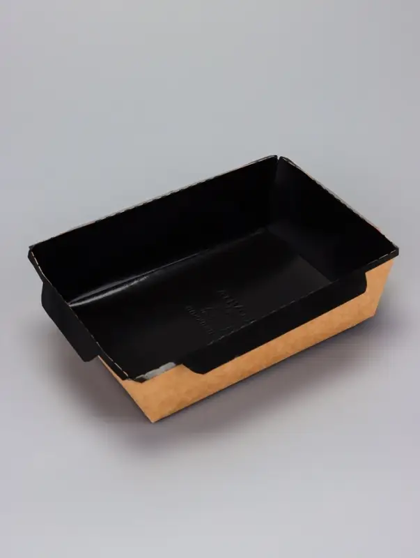 Контейнер с плоской крышкой, черный, 0,5 л, 16 х 12 х 4,5 см Контейнер с плоской крышкой, черный, 0,5 л, 16 х 12 х 4,5 см