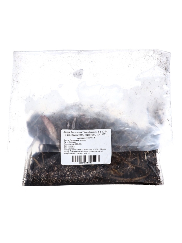 Лилия Восточная "Касабланка", р-р 12/14, 3 шт, Весна 2025, ЭКОНОМ,