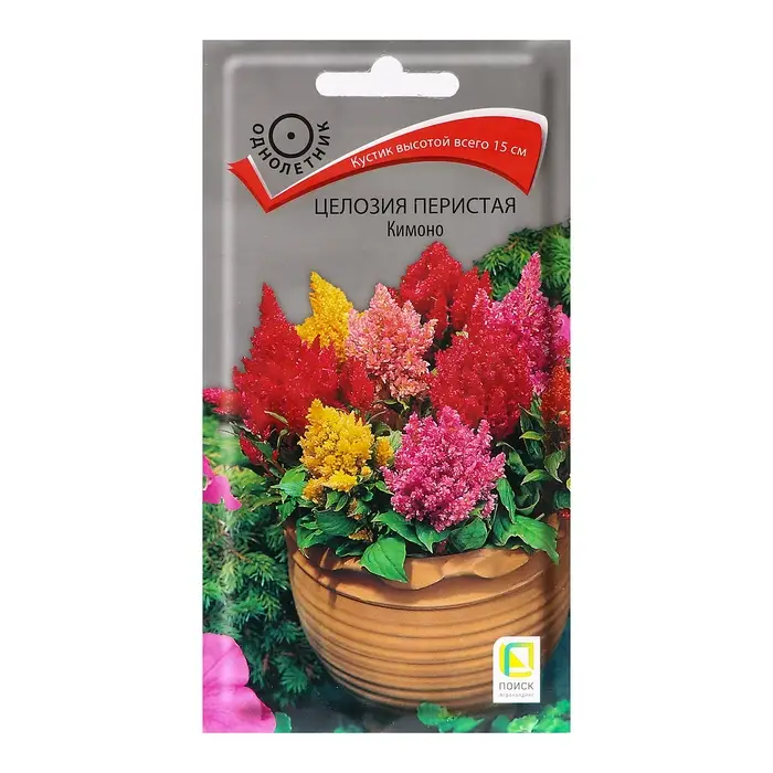 Семена цветов Целозия перистая  Семена цветов Целозия перистая "Кимоно", 0,1гр.