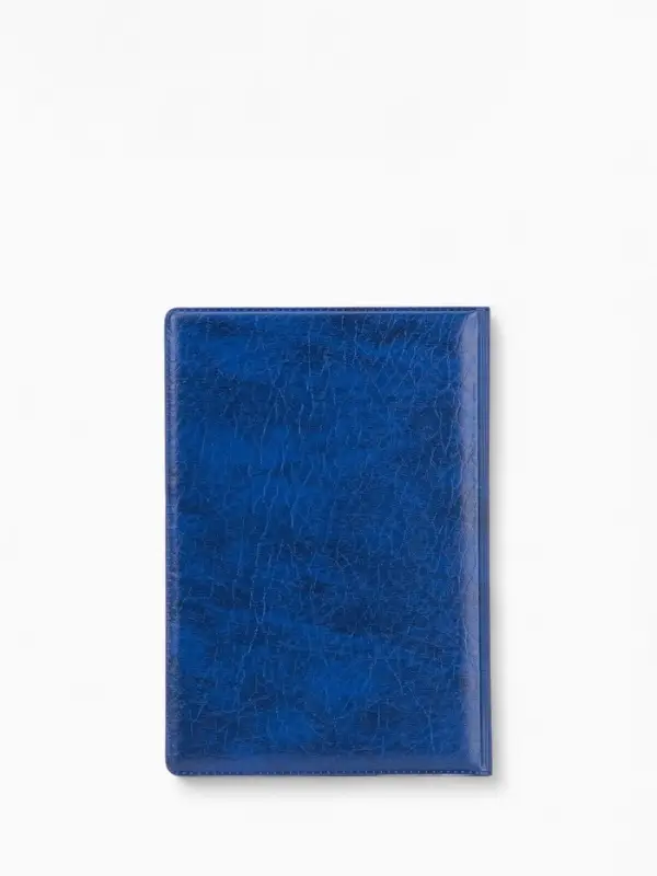 Обложка для паспорта, искусственная кожа, тиснение, синяя