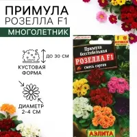 Семена цветов Примула "Розелла", смесь окрасок, F1, 7 шт