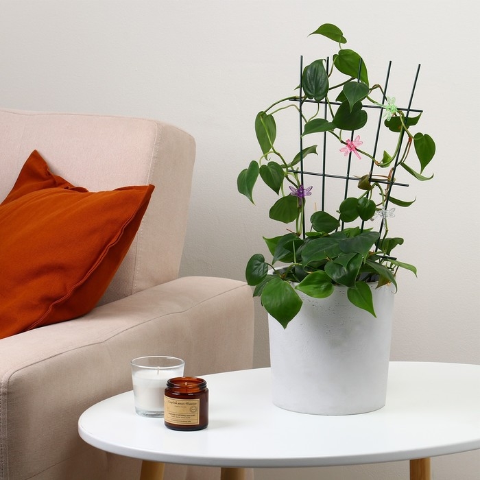 Шпалера, 40 × 20 × 0.3 см, металл, зелёная, «Веерная» Шпалера, 40 × 20 × 0.3 см, металл, зелёная, «Веерная»