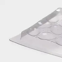 Форма для шоколада «Лепестки», пластик, 20.5×10×1 см, прозрачная