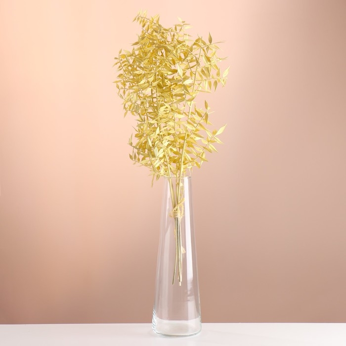 Набор сухоцветов Набор сухоцветов "Рускус", банч 5-6 шт, длина 50-60 (+/- 6 см), желтый