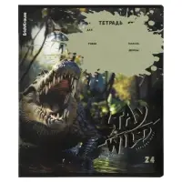 Тетрадь 24 листа в линейку ErichKrause Stay Wild, 60 г/м&sup2;, обложка мелованный картон, МИКС