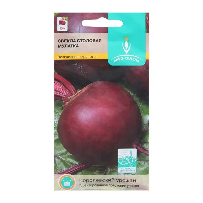 Семена Свекла  Семена Свекла "Мулатка",  цв/п, 2 г