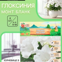 Глоксиния «Монт Бланк», многолетник, комнатный, луковица в пакете с перфорацией, р-р 5/6, 2 шт.