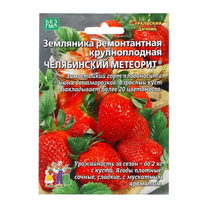 Семена Земляника «Челябинский метеорит», 10 шт., ремонтантная, крупноплодная, «Уральский дачник» Семена Земляника «Челябинский метеорит», 10 шт., ремонтантная, крупноплодная, «Уральский дачник»